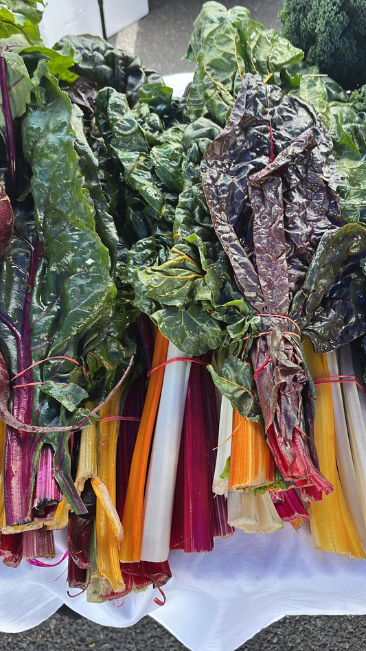 1 x Box (20 Bunches Coloured Chard)