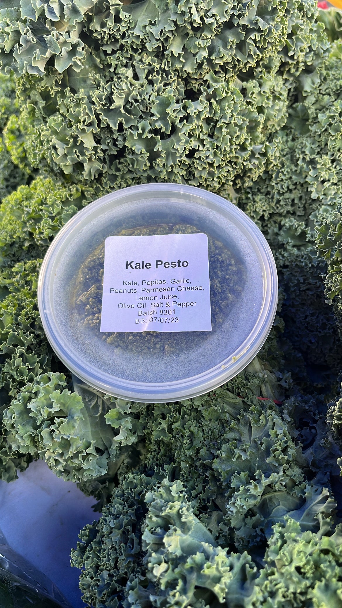 Kale Pesto