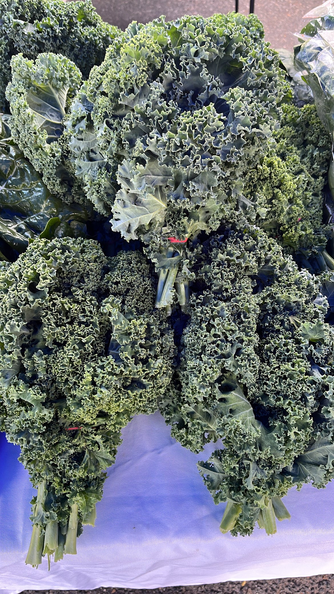 Kale