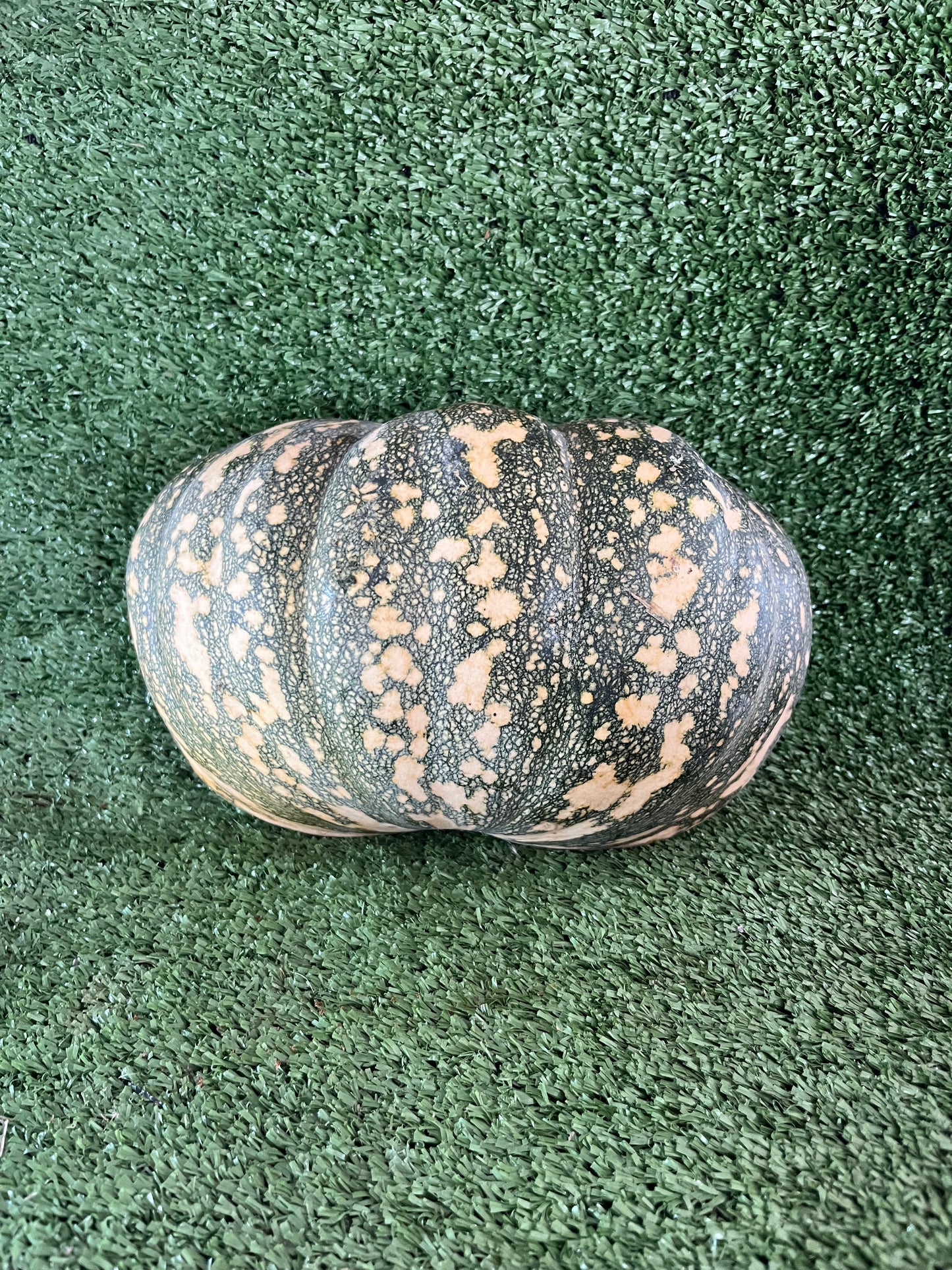 Whole pumpkin