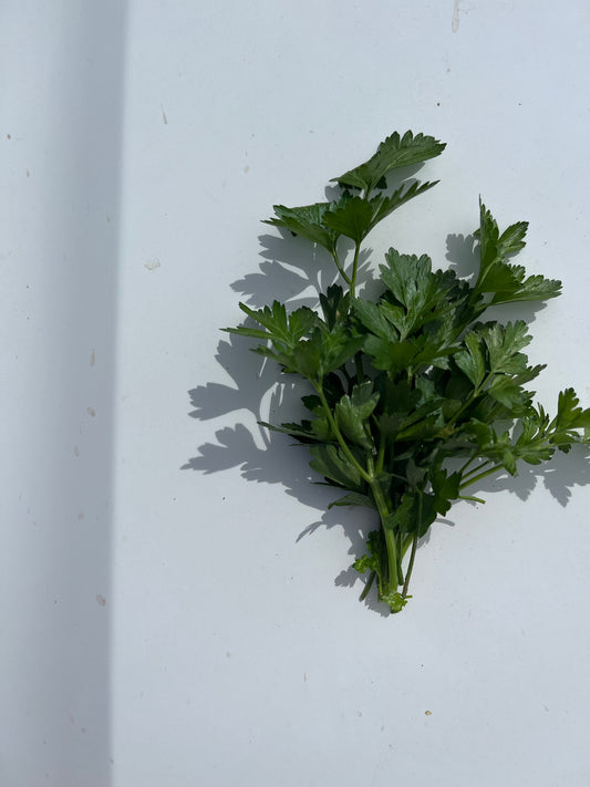 1 x Box (20 bunches Italian Parsley)